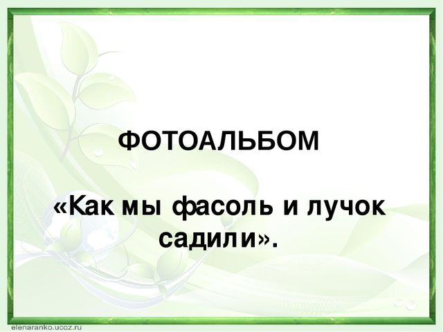 Презентация проекта "Зеленый лучок".