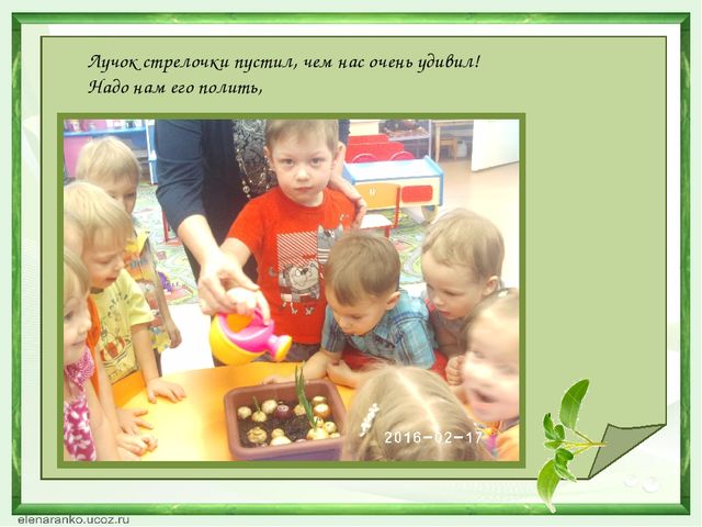 Презентация проекта "Зеленый лучок".
