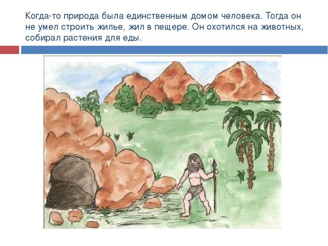 Презентация по экологическому воспитанию "Друзья природы"