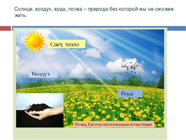Презентация по экологическому воспитанию "Друзья природы"