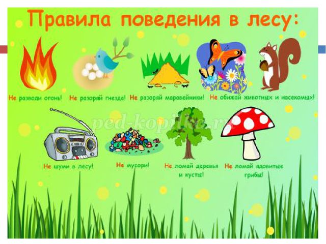 Презентация по экологическому воспитанию "Друзья природы"