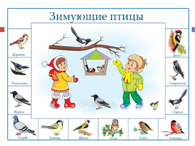 Презентация по экологическому воспитанию "Друзья природы"
