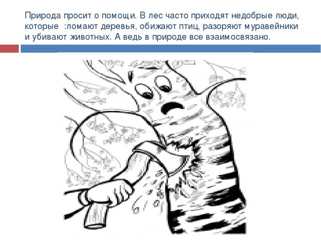 Презентация по экологическому воспитанию "Друзья природы"
