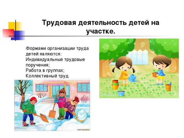 Презентация на тему: "Организация и методика проведения прогулок в детском саду"