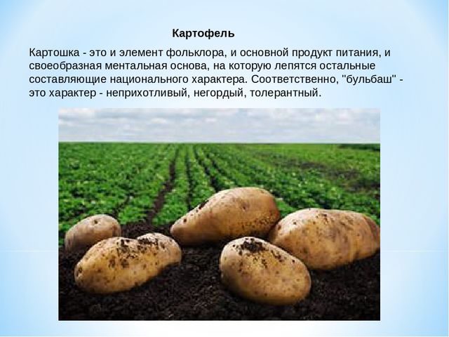 Презентация "10 символов Беларуси"
