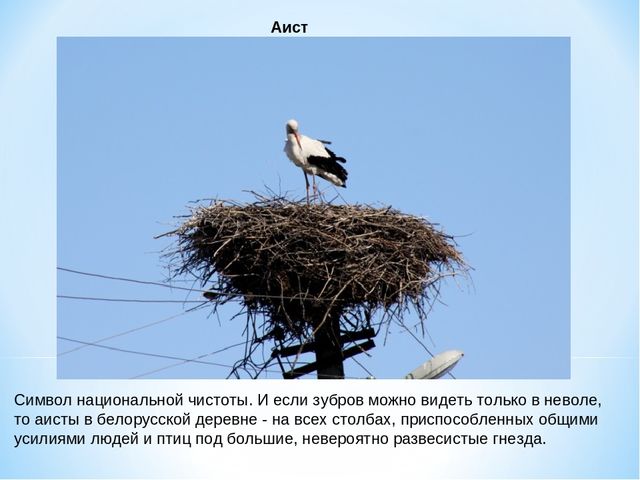 Презентация "10 символов Беларуси"