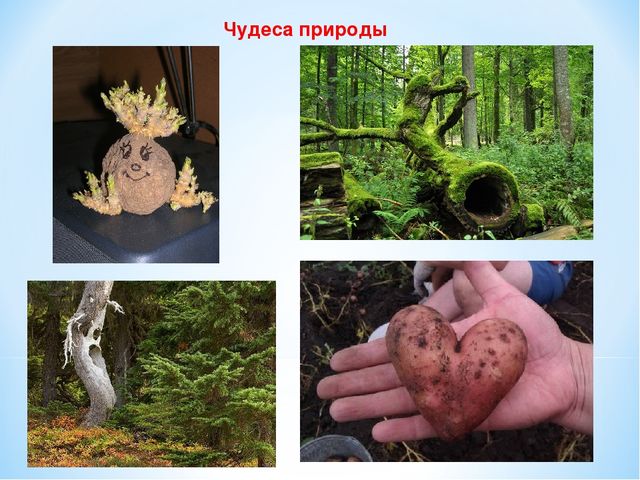 Презентация "10 символов Беларуси"