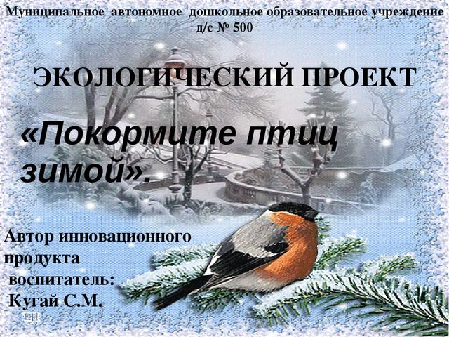 Презентация проекта "Покормите птиц зимой"