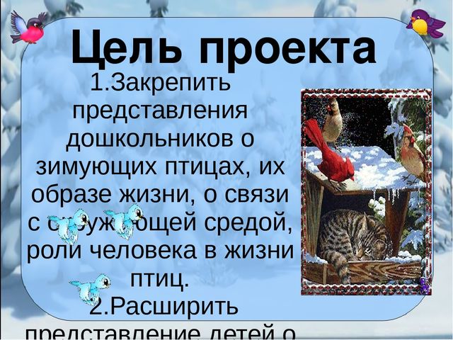 Презентация проекта "Покормите птиц зимой"