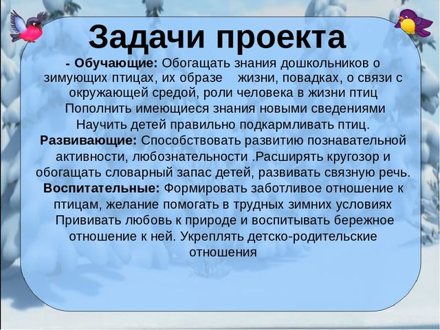Презентация проекта "Покормите птиц зимой"