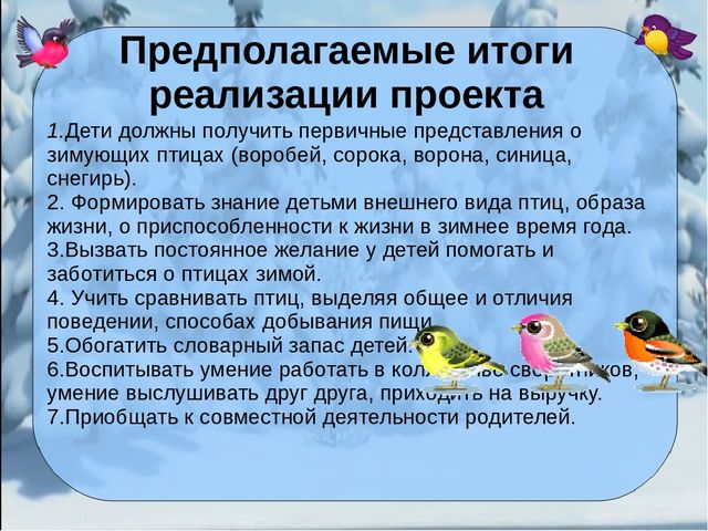 Презентация проекта "Покормите птиц зимой"