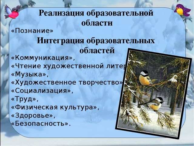 Презентация проекта "Покормите птиц зимой"