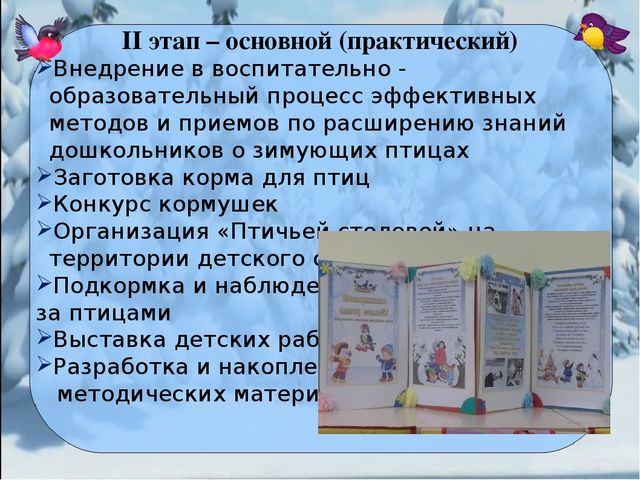 Презентация проекта "Покормите птиц зимой"