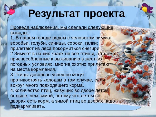 Презентация проекта "Покормите птиц зимой"