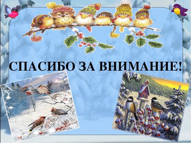 Презентация проекта "Покормите птиц зимой"