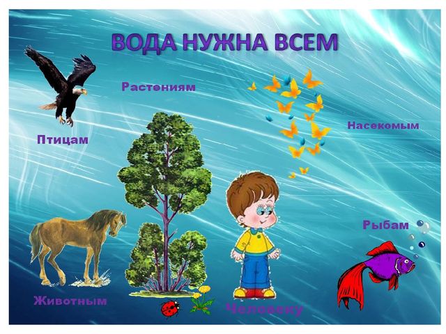 Презентация на тему " Капитошка" в средней группе