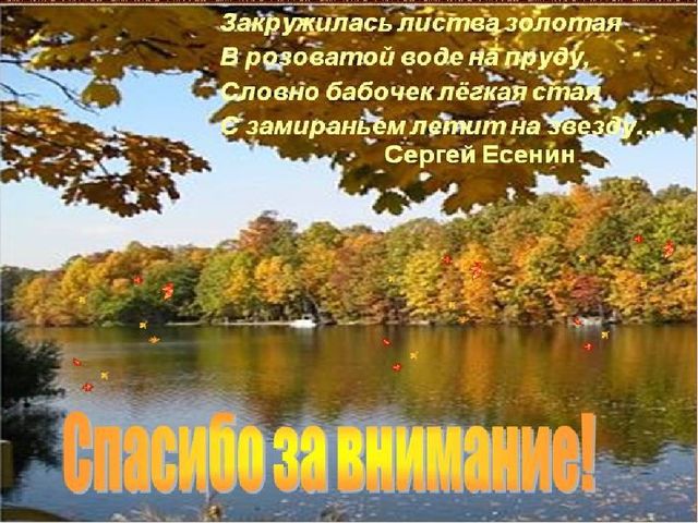 Проект " Осенний дождик"