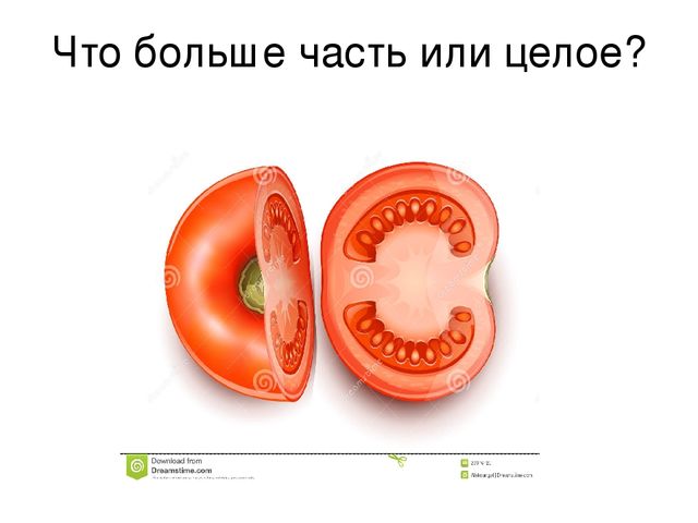 Презентация к открытому занятию