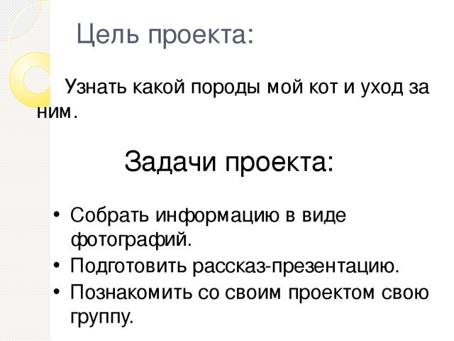 Презентация проекта " Мой любимый Рыжик"
