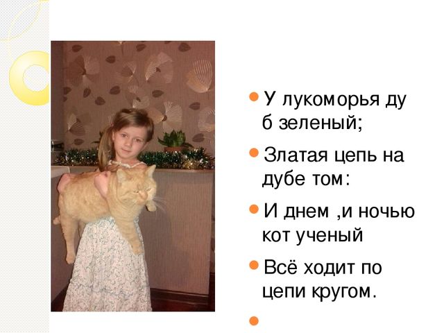 Презентация проекта " Мой любимый Рыжик"