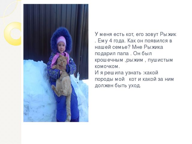 Презентация проекта " Мой любимый Рыжик"