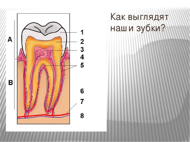 Презентация к внеклассному занятию " Личная гигиена"