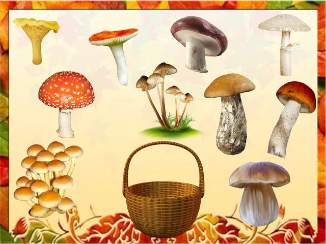 Интерактивная игра для старших дошкольников "Осенние чудеса в лукошке"