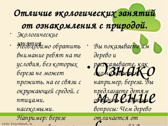 Экологическое воспитание в ДОУ.