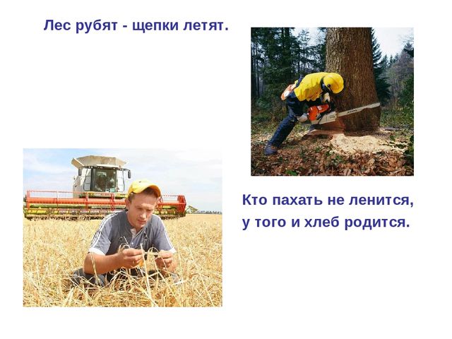 Презентация по развитию речи на тему "Пословицы о профессии"