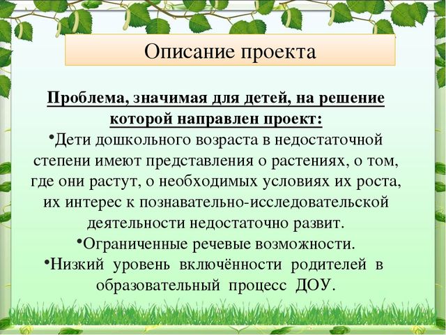 Презентация на тему "Зеленая планета детства" в старшей группе МАДОУ д/с № 4 "Ивушка"