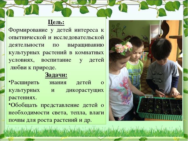 Презентация на тему "Зеленая планета детства" в старшей группе МАДОУ д/с № 4 "Ивушка"