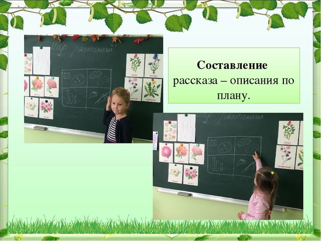 Презентация на тему "Зеленая планета детства" в старшей группе МАДОУ д/с № 4 "Ивушка"