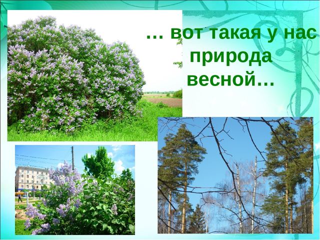 Презентация "Моя малая Родина" в подготовительной группе.