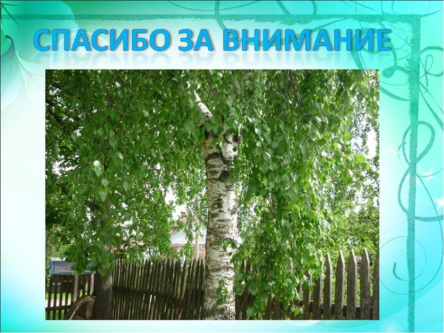 Презентация "Моя малая Родина" в подготовительной группе.