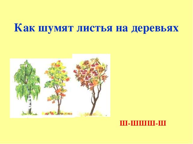 Презентация "Обучение грамоте в старшей группе"