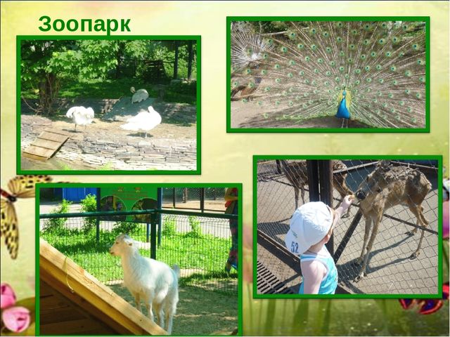 Презентация "Мой город" в подготовительной группе.