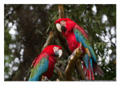 Picture 27