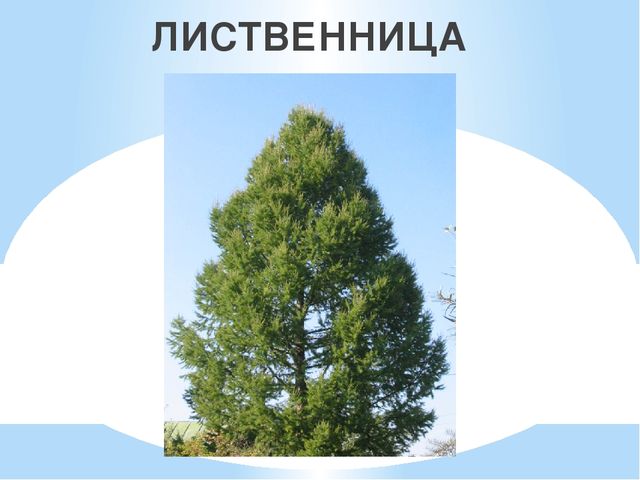 Презентация "Знакомство с русской избой"