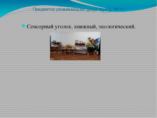 ПРЕЗЕНТАЦИЯ: ПРЕДМЕТНО РАЗВИВАЮЩАЯ СРЕДА В СТАРШЕЙ КОРРЕКЦИОННОЙ ГРУППЕ ЗПР МАДОУ № 1 г. ХАБАРОВСКА выполнена Руденко О.В.