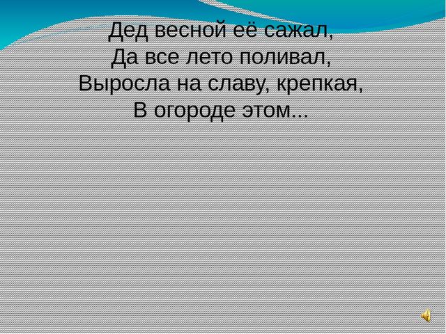 Презентация в стране сказок