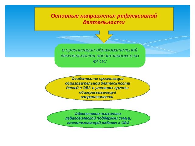 Педагогический проект "Профессиональное развитие воспитателя в рамках инклюзивного образования в ДОУ"