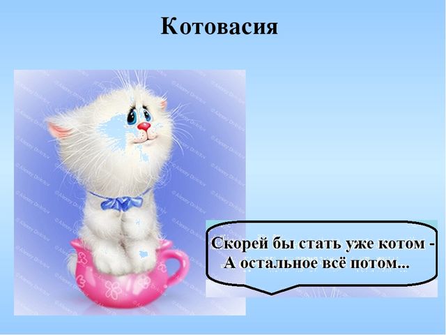 Презентация к литературному празднику по творчеству "Мы в конверт положим лето" по творчеству И. Шевчука