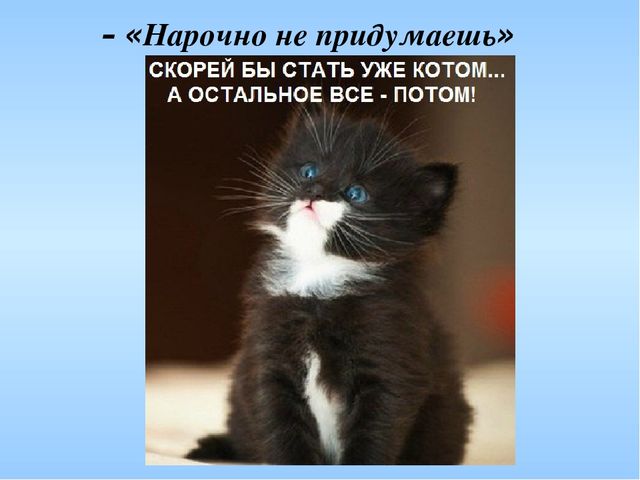 Презентация к литературному празднику по творчеству "Мы в конверт положим лето" по творчеству И. Шевчука