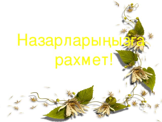 Денсаулық саласы бойынша "Мен сияқты жаса"Су-джок терапиясы презентация