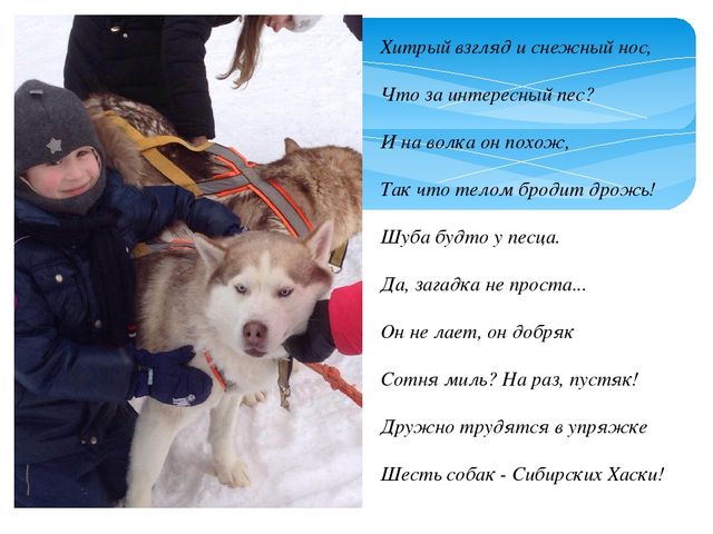 Фото отчет прогулки выходного дня