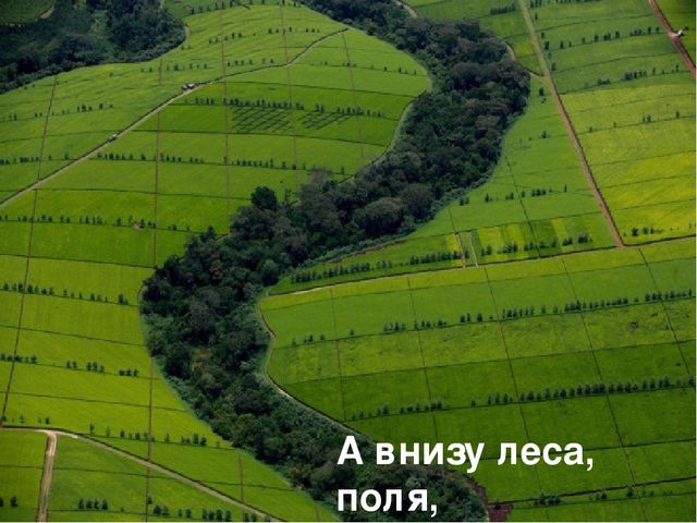 Презентация к спортивному празднику "Космические старты"