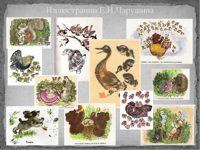Презентация на тему "Художники - иллюстраторы детских книг" (для педагогов)