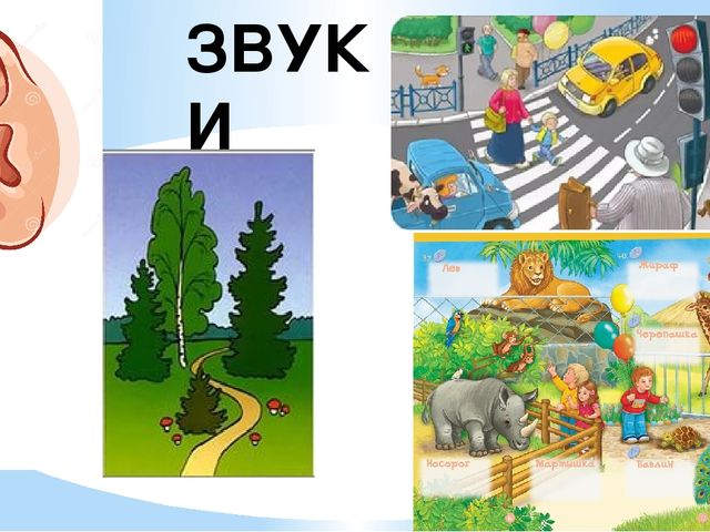 Презентация по обучению грамоте "Звуки гласные и согласные "