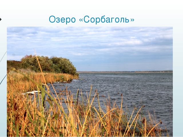 Презентация "Родные просторы Шарыповского района, Красноярского края"