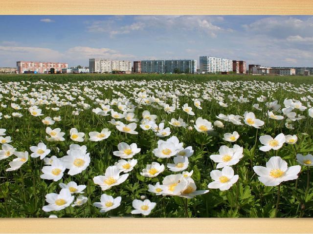 Презентация "Мой родной, любимый город Шарыпово"